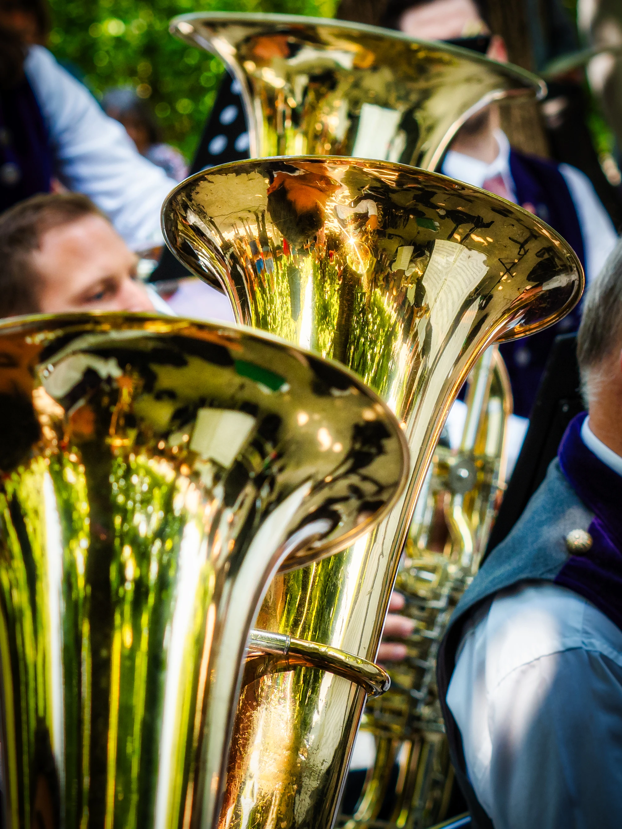 Bild der Tenorhoerner